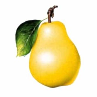 נוזל לסיגריה אלקטרונית - Pear